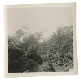  Found in Istanbul, 2015