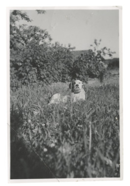  Found in Helsinki, 2015