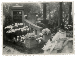  Found in Kraków, 2016