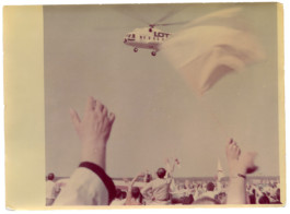  Found in Kraków, 2016